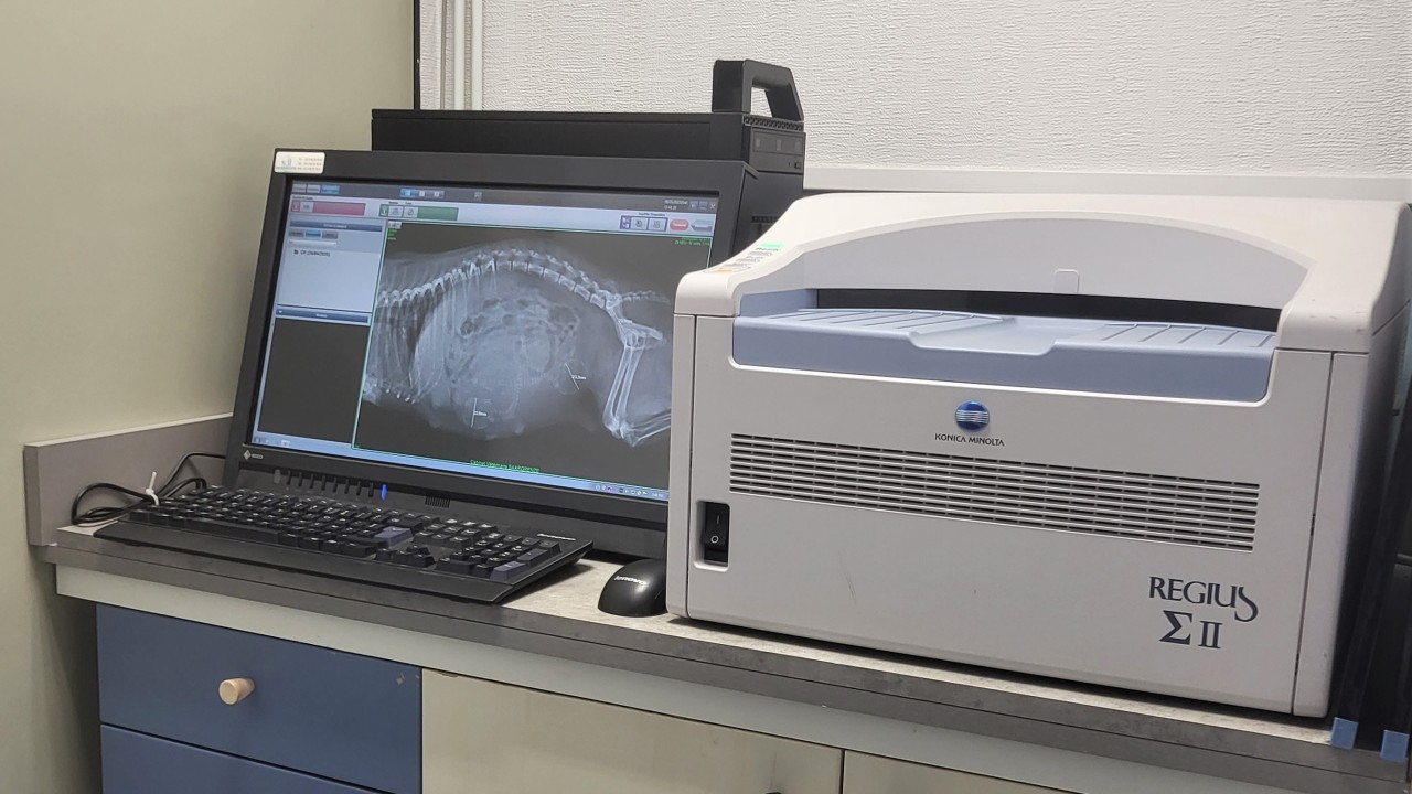 Numériseur radiologique